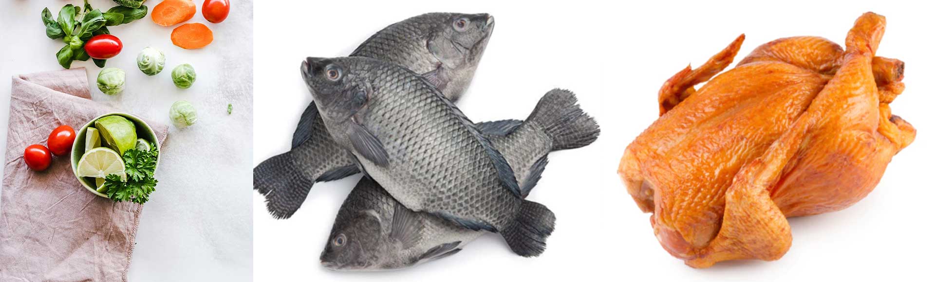 bacola